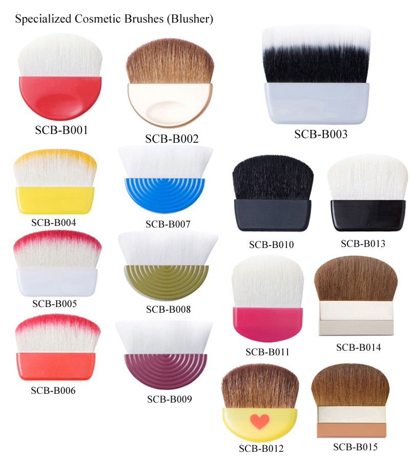 Specialized Cosmetic Blusher Brushes